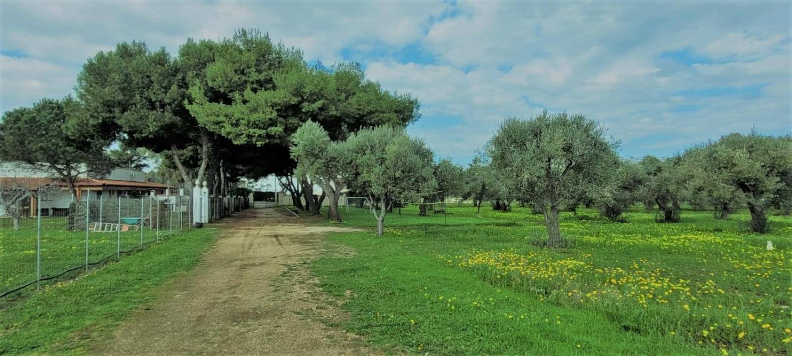 Villa Laura Bari Kültér fotó