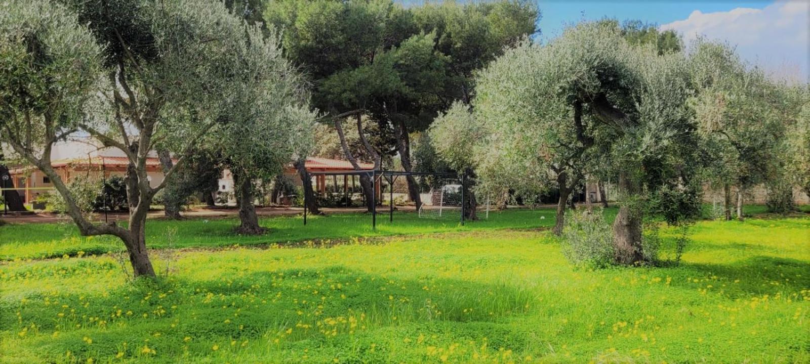 Villa Laura Bari Kültér fotó